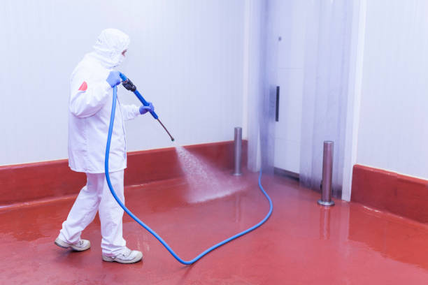 Best Residential Pressure Washing in Burlington, NC